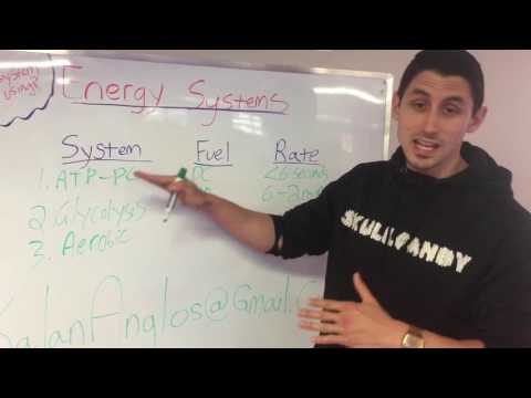 Energy Systems Explained