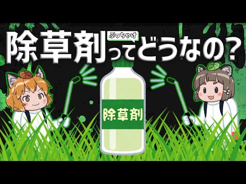 アトラジンの半開発フォーミュラと 3D 表現