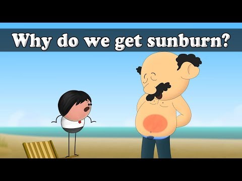 なぜ日焼けするのか？| ω・｀）｜ #aumsumum (Why do we get sunburn? | #aumsum)