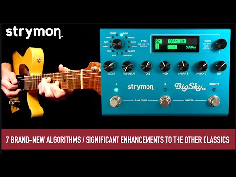 Strymon Big Sky MX image 4