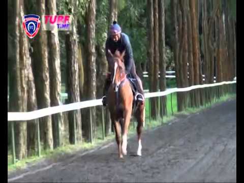 FLOREAL NEWS RACE MEETING 22 (Air Mauritius Maiden Cup)