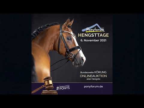 DORNFELDER v. Dreiklang AT – Blanchet (Caston TG)(NEU)