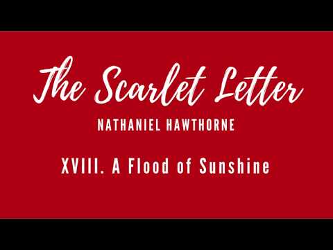Scarlet Letter - Chapter 18 [Audiobook]