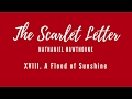 Scarlet Letter - Chapter 18 [Audiobook]