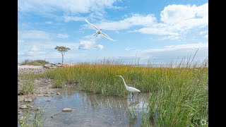Living in Milford, CT: The Ultimate Local Guide | Homes.com