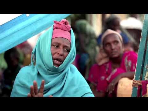 国連、エチオピアの「本格的危機」を警告 (U.N. warns of 'full-scale crisis' in Ethiopia)