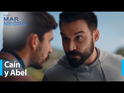 ¿Estás empezando a sentir cosas por Hazan? - Mar Negro Capítulo 201 | Fugitiva