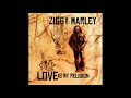 Ziggy Marley - Friend (Official audio)