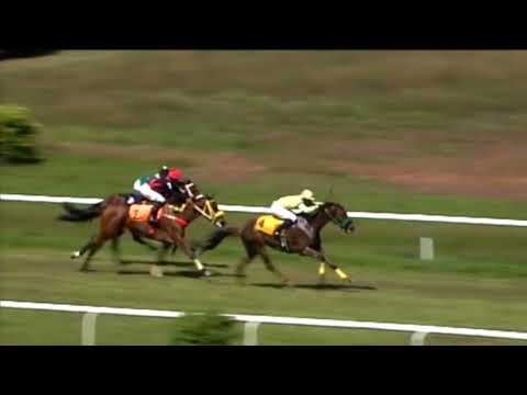 Arima Race Club - Day 1 January 28th 2023 Race-2