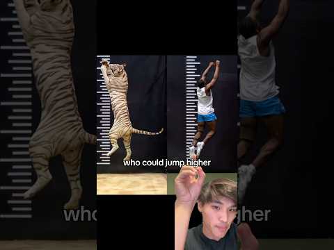 The worlds highest jumper was in a MrBeast video