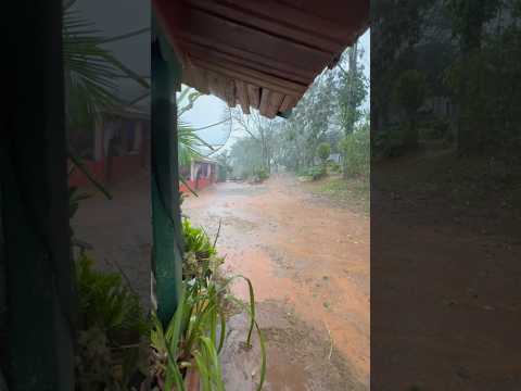 Interior do estado do Paraná, ivaiporã, chuva #roca #sítio #chuva
