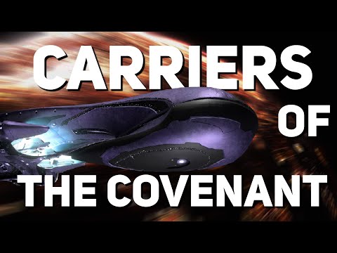 Carriers of the Covenant || Halo Ship Breakdown(s)