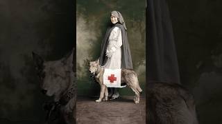 ▶ Nurses at War: Angels of the Battlefield / HD Colorized Photographs