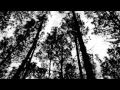 Joe Satriani - Wind in the Trees