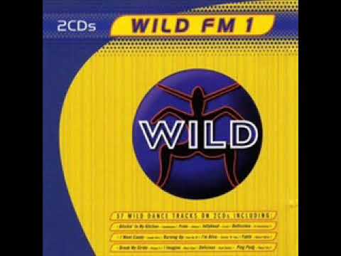 Wild FM vol.1 CD2 Track 16