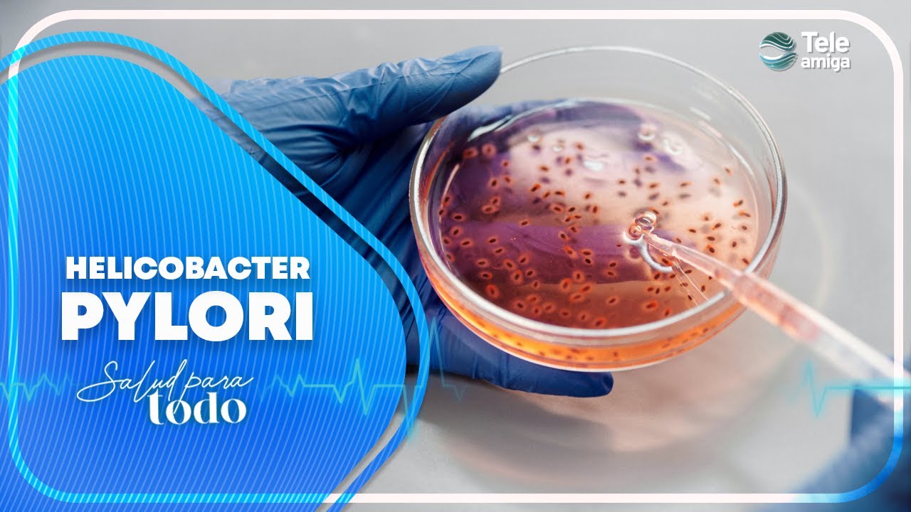 Andres Felipe Paipilla Quevedo-14