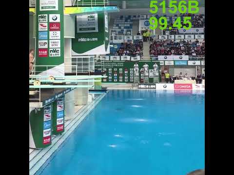 2017 FINA DWS Beijing-Jack Laugher all dives