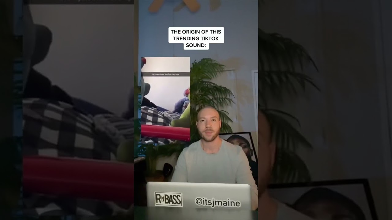 The Origin Of This Trending TikTok Sound #shorts #tiktok #sounds #birds