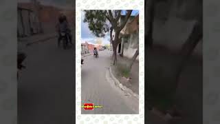 Download lagu anjing ngejar orang ❎.                orang ngejar anjing ✅ mp3