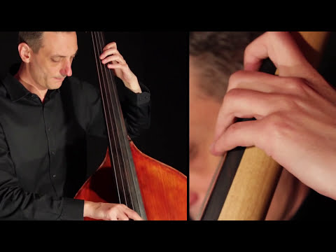 Double Bass Solo-Vranjanka /// By Nenad Vasilic