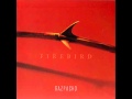 Gazpacho   Firebird