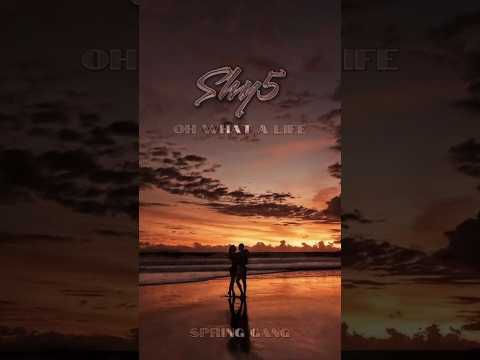 Spring Gang Feat. Shy5 - Oh What a Life #soul #music #musiclife