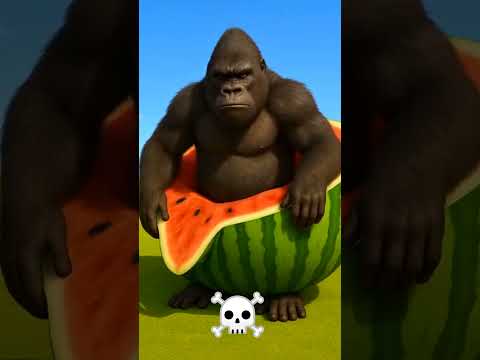 KONGINI MELONINI Italian Brainrot - Animal Revolt Battle Simulator