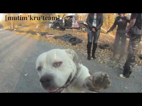 [mutim'kru'team] - You Don't Did It!