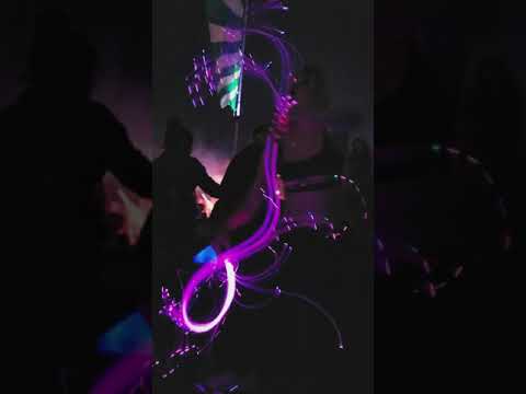 Trippynova.flow - Music is the Answer