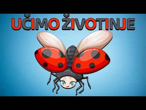 Ucenje Zivotinja 2 | Zivotinje Za Djecu i Bebe | Ucimo decu