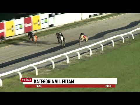 2023.08.11. 7. Futam - Kategória VII. futam - S0/S1