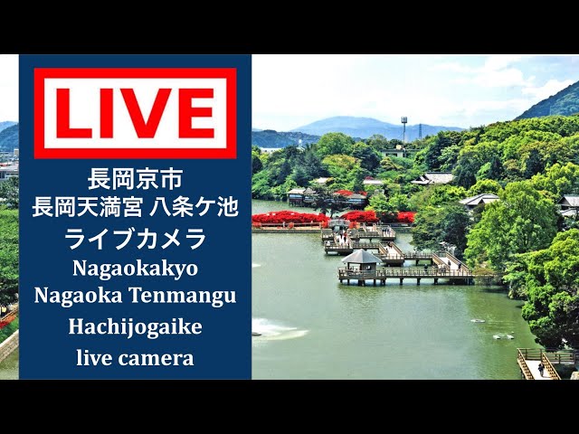 長岡天満宮 八条ケ池