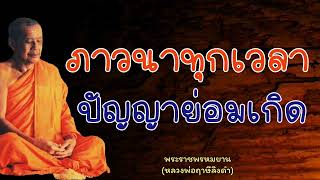 หลวงพ่อฤาษีลิงดำ ภาวนาทุกเวลา ปัญญาย่อมเกิด - ย่อธรรม ฟังธรรมะ