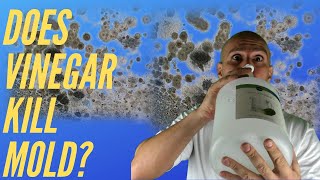 Does Vinegar Kill Mold? Watch This Before You Use It...