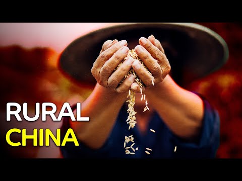 Remote Herds Life on the Grasslands of China | Secrets of the Yangtze Delta