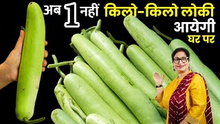 लौकी से बनी अलौकिक रेसिपी – सुबह, दोपहर या रात कभी भी बनाएँ, हेल्दी और टेस्टी | Lauki Ki Kadhi-Nasta
