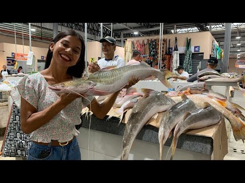 COMO É O MERCADO DA PEDREIRA EM BELÉM DO PARÁ/ VISITANDO INSCRITOS/ RIBEIRINHA/ AMAZÔNIA/ PEIXES