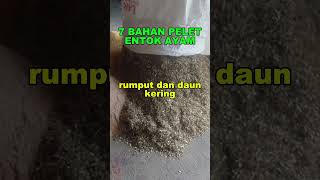 Download lagu 7 BAHAN PELET PAKAN ENTOK AYAM #shorts #pakanmurah #pakanalternatif #penyakitayam #penyakitbebek mp3 Download lagu 7 BAHAN PELET PAKAN ENTOK AYAM #shorts #pakanmurah #pakanalternatif #penyakitayam #penyakitbebek mp3