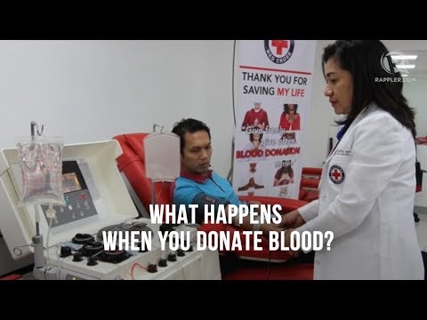 What happens when you donate blood?