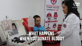 What happens when you donate blood?