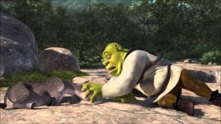 donkey!