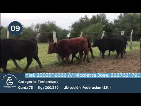 Lote M Y H - Federación ER