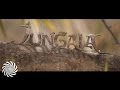 Jungala Festival 2015 Aftermovie 