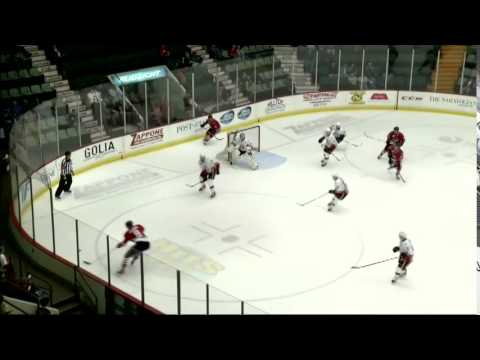 Highlights 10/16/15 Rockford IceHogs 4 - Adirondack Flames 2