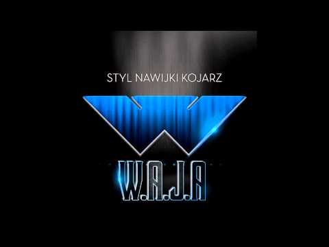 07.WajaWajski - AudioVandal (prod. Don...)