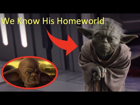 Everything We Know About YODA's Species