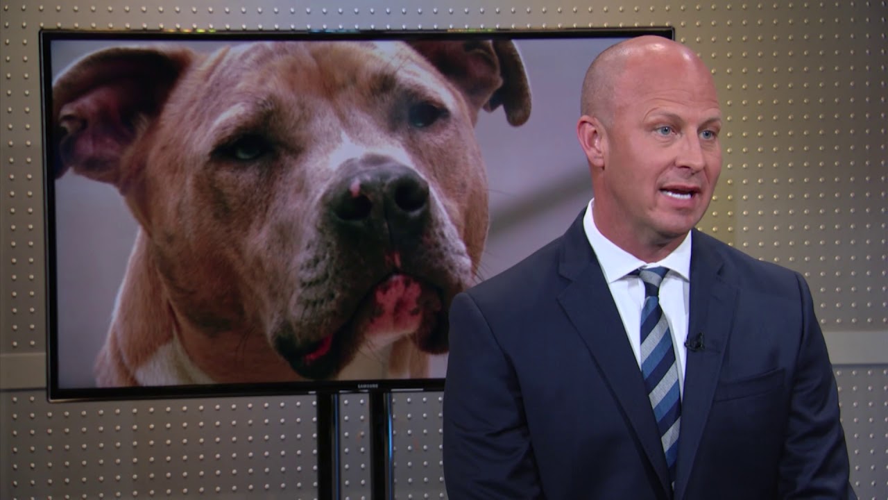 PetIQ CEO: Pet Humanization Trends | Mad Money | CNBC
