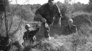 Un brindis por la paz