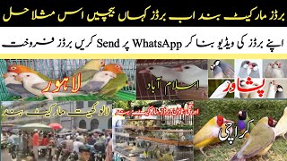 Birds Sell and Purchase Problem Solve | برڈز کے بہت تیزی سے کم برڈز بیچینے کی پرابلم کا آسان حل 🤔