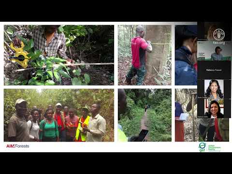 Bienvenue au cours tutoré en ligne sur l'inventaire forestier national